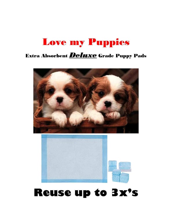 Why Does My Dog Miss The Pee Pad