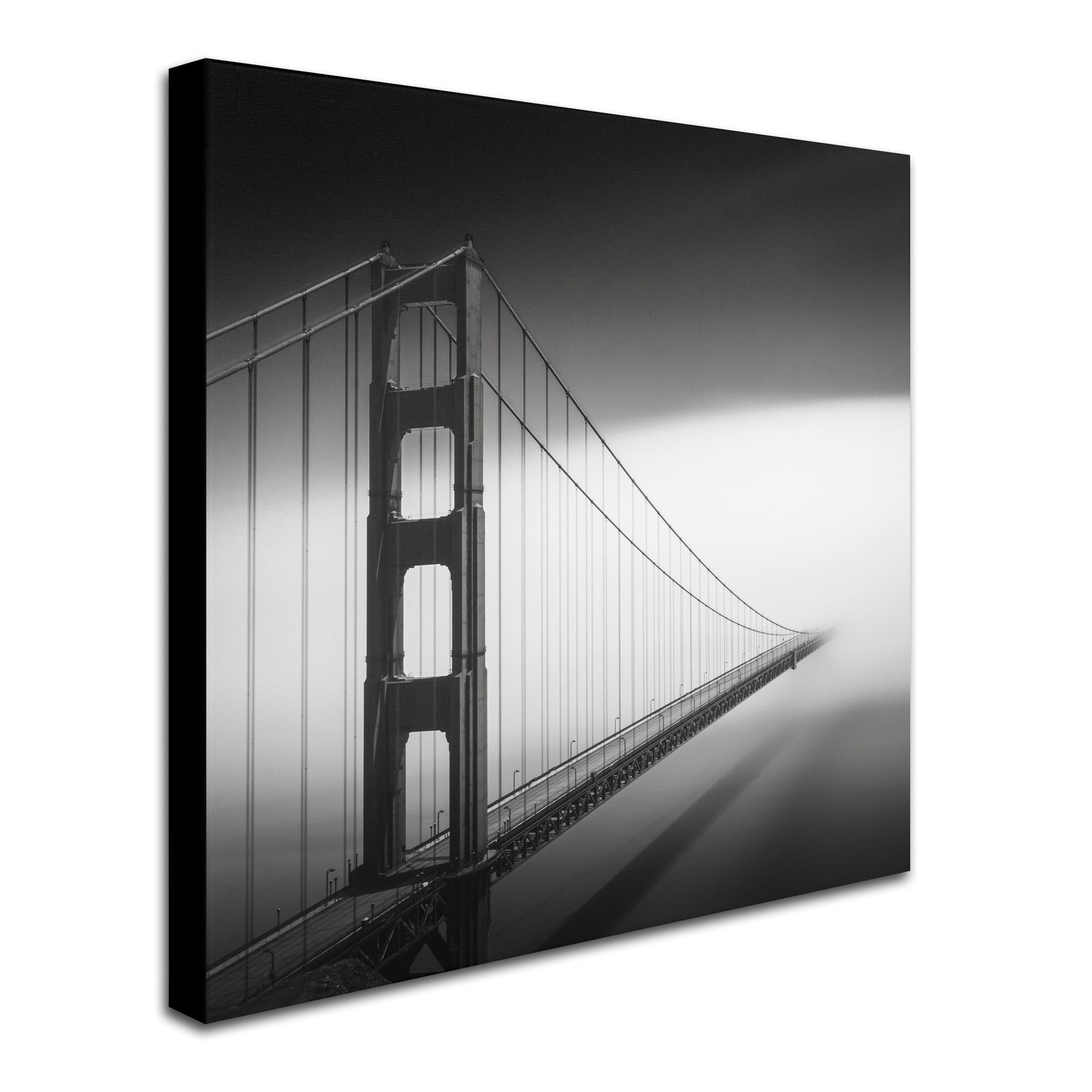 Trademark Fine Art "Into The Mystic" Canvas Art by Dave MacVicar