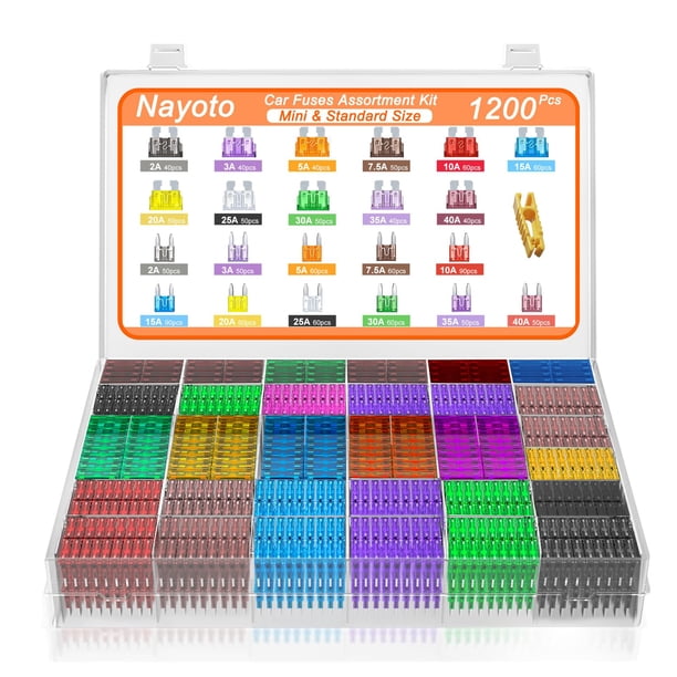 Kit surtido de fusibles automotrices Nayoto de 1200 piezas con extractor