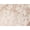 Ivory Sparkling Champagne, variant on Women's Plus Size Embroidered Front-Close Underwire Bra