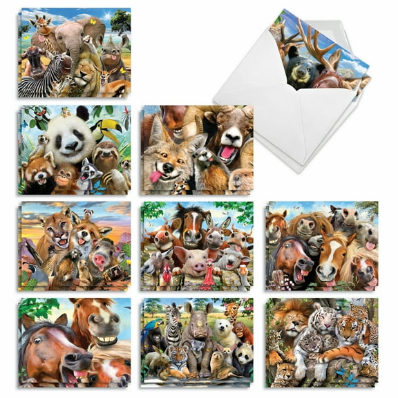 20 Blank All Occasion Cards Assorted (10 Designs, 2 Each) - Here's Looking At Zoo All Occasion (4" x 5.12") AM6639OCB-B2x10