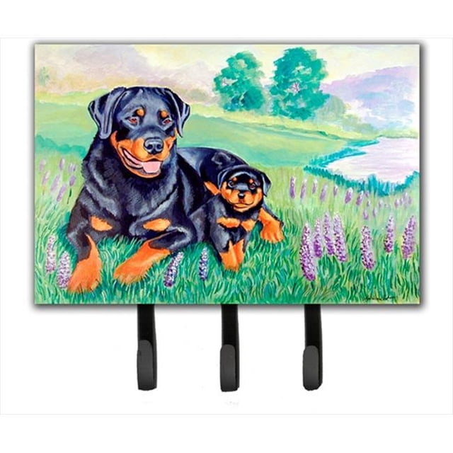 Carolines Treasures 7141TH68 Rottweiler Leash Holder Or Key Hook