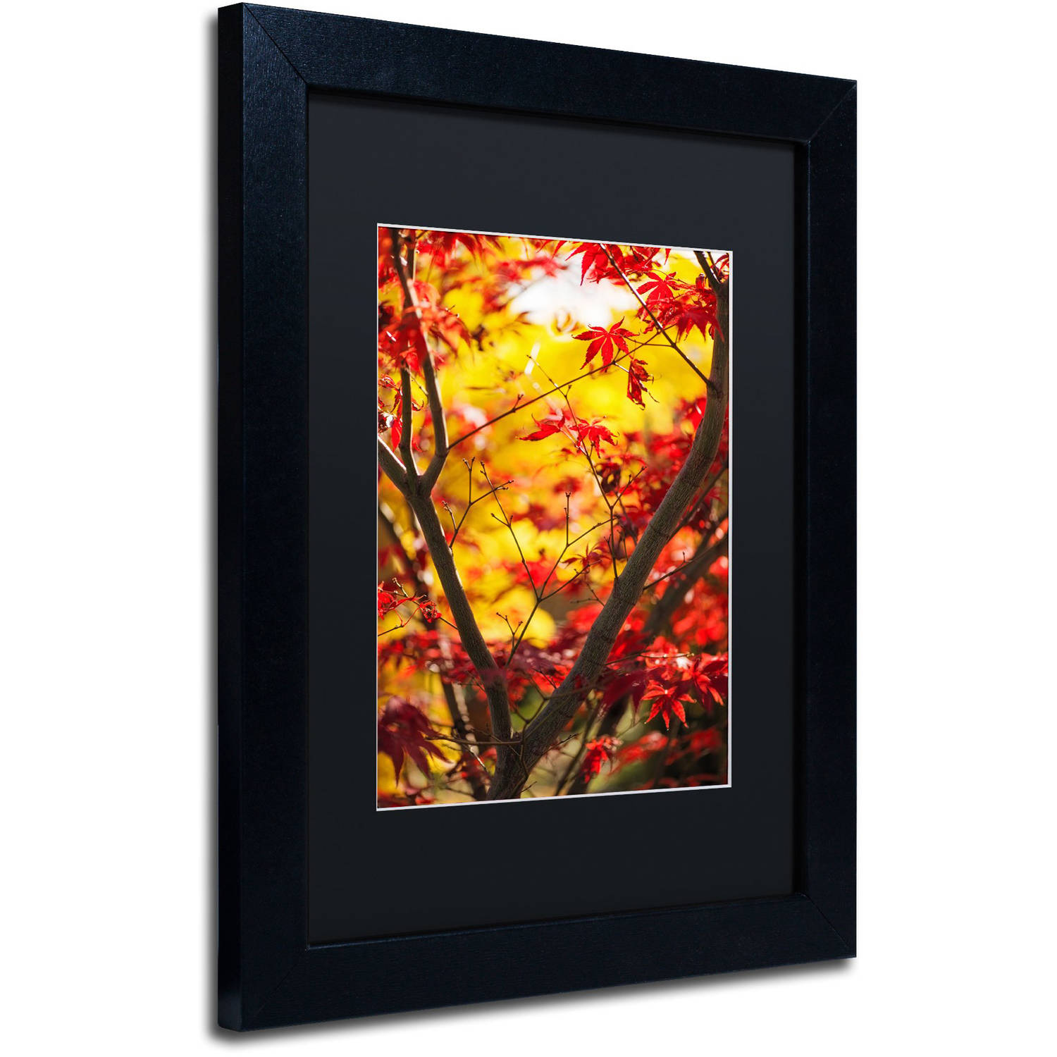 Trademark Fine Art "Morning Jive" Canvas Art by Philippe Sainte-Laudy Black Matte, Black Frame
