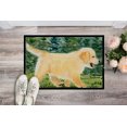 thumbnail image 2 of Carolines Treasures SS8859MAT Golden Retriever Tapis Intérieur Extérieur - 18 x 27 Po., 2 of 4