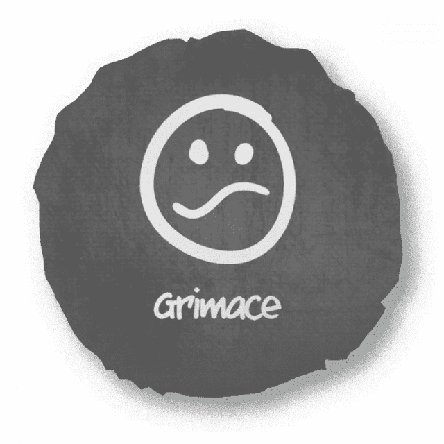 Grimane White Cute Chat Face Pattern Round Throw Pillow Home Decoration Cushion