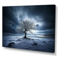 thumbnail image 2 of Designart "Winter Tree In Black And White Photography" Tree Wall Art Living Room, 2 of 7