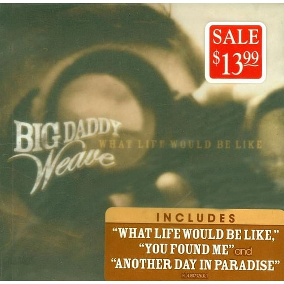 What Life Would Be Like (Audiobook)