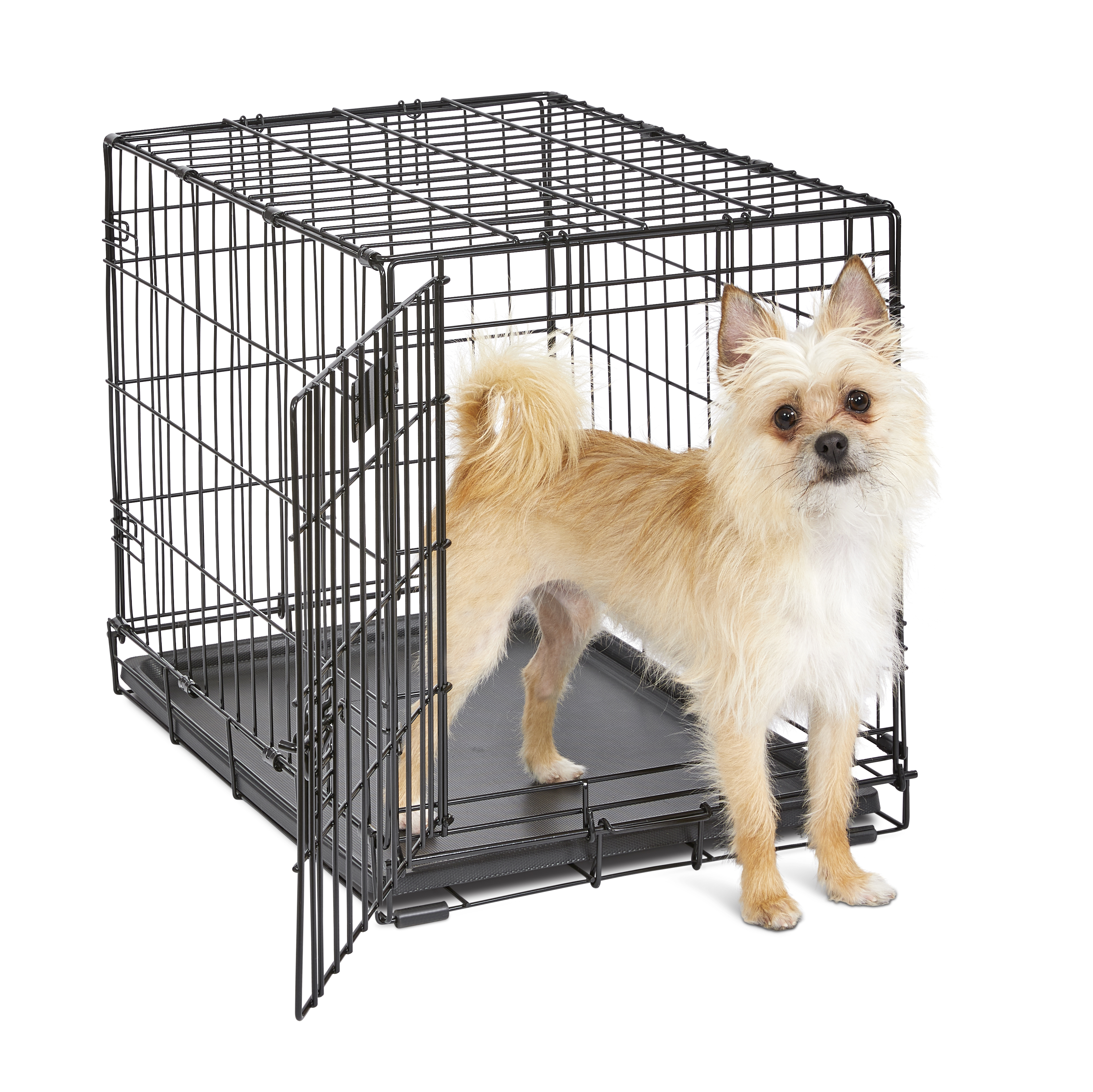 MidWest Homes for Pets Single Door iCrate Metal Dog Crate, 24" - image 2 of 8