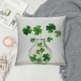 thumbnail image 2 of Nawypu St Patricks Day Lumbar Pillow Cover Vase Decor Farmhouse Decorative White Cushion Case Home Spring Decorations for Sofa Couch, 2 of 5