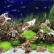 thumbnail image 2 of KAKOWELY Bomba de oxígeno para acuario USB, aireador de aire de plástico para pecera, bomba de oxígeno silenciosa, 2 of 5