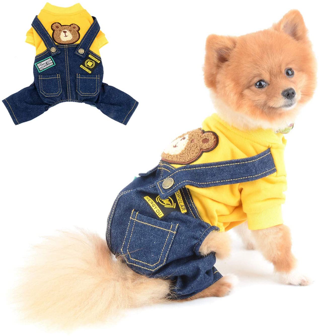 dog clothes pants