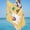 Multicolor, variant on SDJMa Microfiber Cute Cartoon Llama Beach Towels, Oversized, Quick Dry (30" x 60") Sand Proof, Absorbent, Compact, Beach Blanket, Lightweight Towel for The Swimming, Sports, Beach, Gym