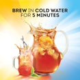 Decaffeinated Cold Brew Family Size Iced Tea Bags, Unsweetened, 22 ...