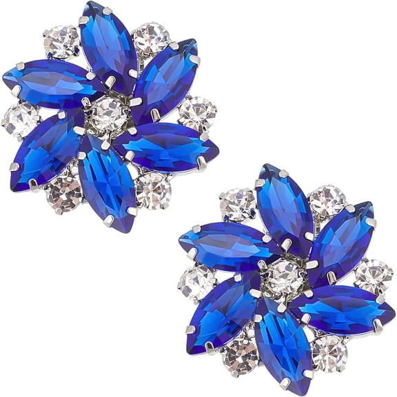 2PCS Crystal Shoe Clips 1.3x1.2 inch Light Blue Rhinestones Shoe Buckles Charms Exquisite Flower Shape Shoes Decoration for Women Bridal Pumps Flats Clutch Dress Hat Shoe