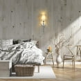 thumbnail image 3 of Z-Lite 1 Light Wall Sconce, 3 of 9