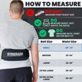 thumbnail image 3 of Synergee Weightlifting Belt 5” Padded Support for Squats Deadlifts Powerlifting & Cross Training - Small, 3 of 6