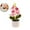 C, variant on VQPeo Artificial Orchid Plant – Realistic Silk Flower in Rose– Plastic Potted Fake Bonsai – Lifelike Home, Office & Wedding Decor