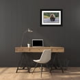 thumbnail image 3 of Jones, Adam 14x11 Black Ornate Wood Framed with Double Matting Museum Art Print Titled - Grizzly bear-Lake Clark National Park and Preserve-Alaska, 3 of 4