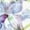 Butterfly Flower, variant on Girls Star Christmas Zip Up Hoodie Kids 8-10 Girl Zipper Hoodie Sweatshirt Boys Full Zip Hooded Jacket Hooded Sweatshirts Jackets Childrens Zippered Hoodies with Front Zipper