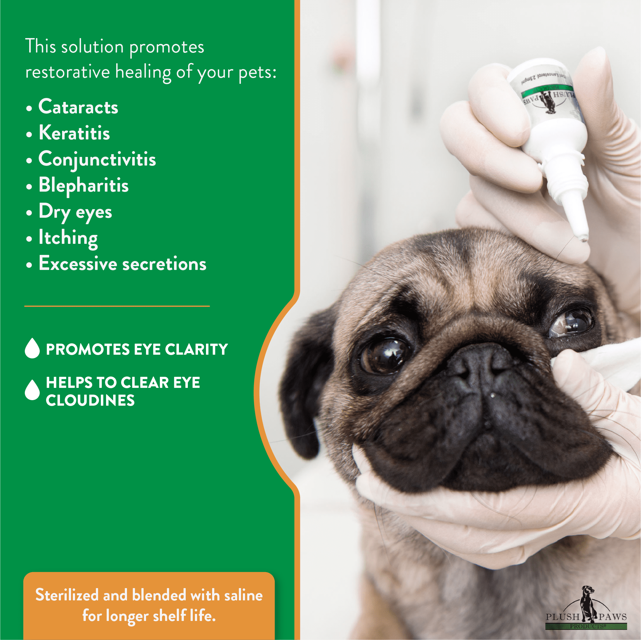 Does N Acetyl Carnosine Help Cataracts In Dogs