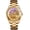 Gold-Gold, variant on Men’s Watch Luxury Mechanical Stainless Steel Skeleton Waterproof Automatic Self Winding Luminous Wrist Watch