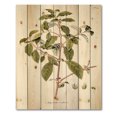 thumbnail image 3 of Designart 'Ancient American Flora IV' Traditional Print on Natural Pine Wood, 3 of 5