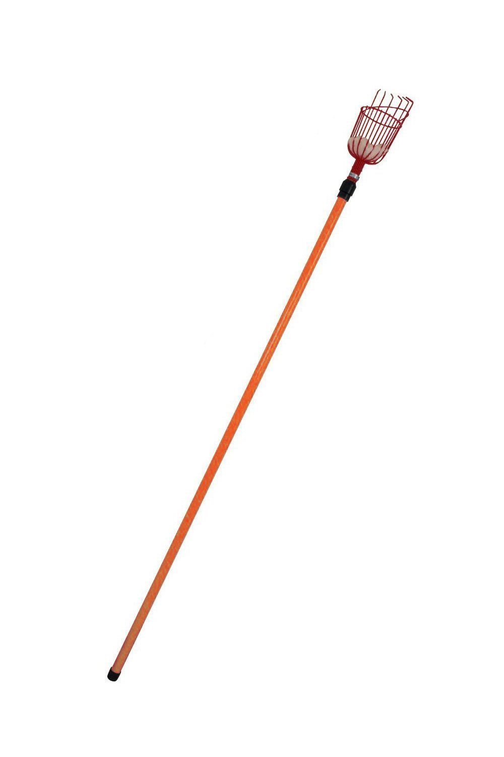 Professional Metal Fruit Picker with Long Telescoping 8ft Pole & Fruit