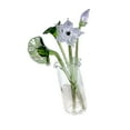 thumbnail image 5 of MERIGLARE Glass Flower Bouquet with Vase Artificial Flowers for Girlfriend Anniversary Lotus, 5 of 8