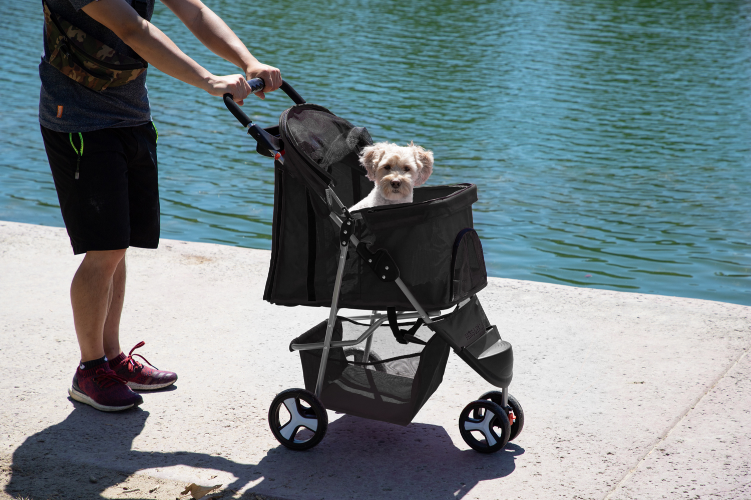 Paws & Pals Pet Stroller for Cats & Dogs Folding 3-Wheel Carrier Jogger (Black) (Small) - image 3 of 3