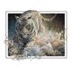 thumbnail image 1 of Tigre Animal Kits de bordado de punto de cruz 14CT Estampado Trabajo hecho a mano Imagen Artesanía FLhrweasw Nuevo, 1 of 9