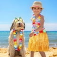 thumbnail image 3 of 7 Pack Hula Skirt Costume Kit for Hawaii Luau Party, 16 in 2-Layer Grass Skirt, Hawaiian Lei, Hibiscus Hair Clip, Pineapple Sunglasses for Kids, 3 of 7