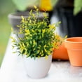 thumbnail image 5 of Artificial Potted Plants Small, Faux Grass in White Pot for Indoor Decor, Fake Plants for Desk, Office, Bathroom, Table Centerpieces, and Home Decor, Low Maintenance Faux Greenery, 5 of 5