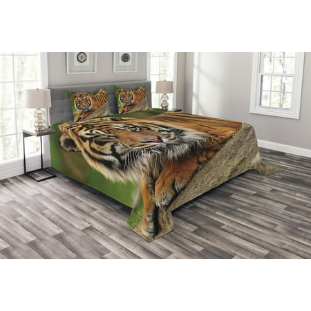 Tiger Bedspread Set, Noble Beast Crouching on a Rock Sumatrian Large Cat Beautiful Nature Photography, Decorative Quilted Coverlet Set with Pillow Shams Included, Multicolor, by (Best Bedding Sets 2019)