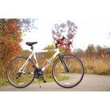 genesis saber road bike