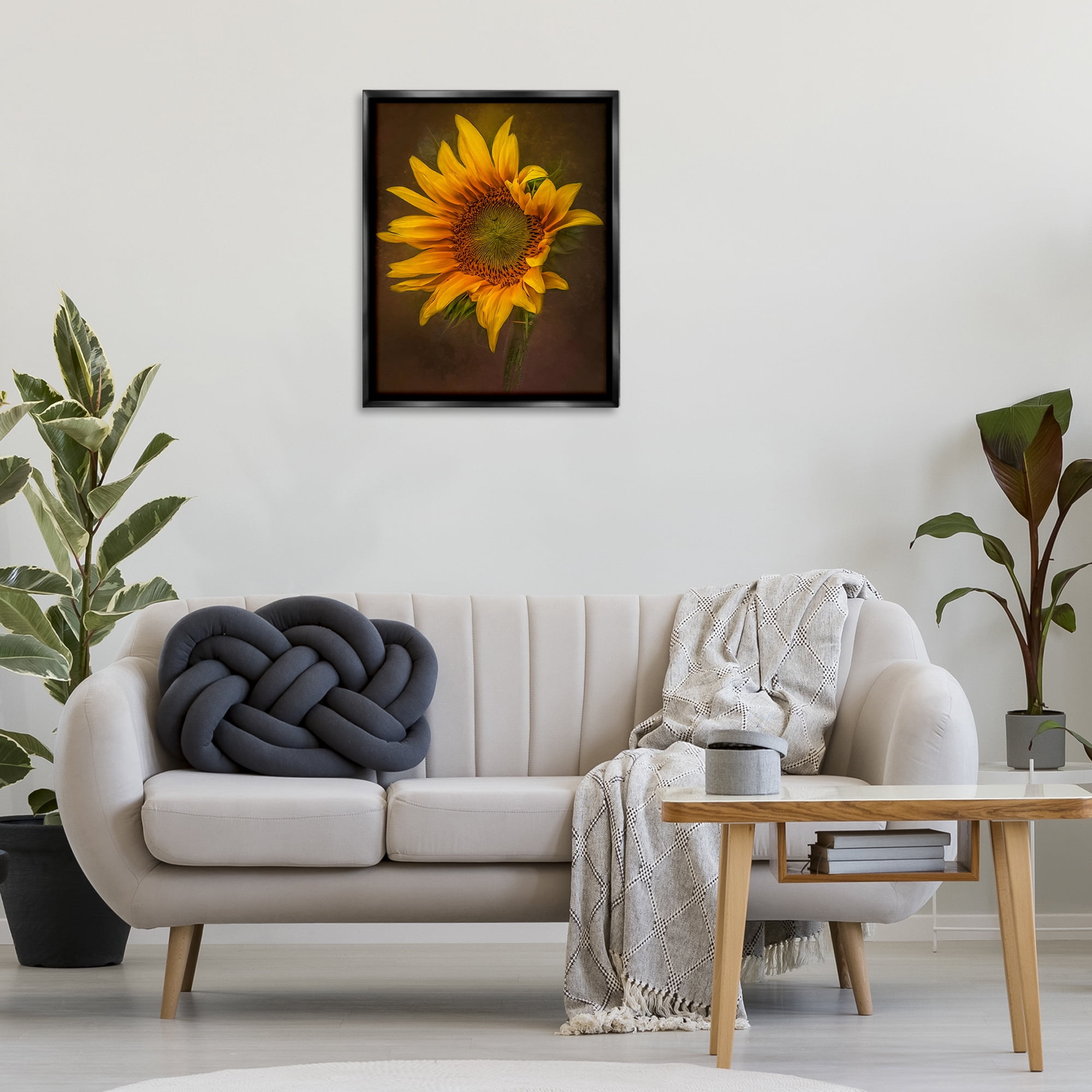 Stupell Industries Curling Petals Sunflower Plants & Flowers Painting Black Floater Framed Canvas Art Print Wall Art, 25 x 31