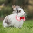 thumbnail image 6 of BRKURLEG Plaid Cat Collar, Cute Small Animal Bow Tie Costume for Bunny Cat Mini Dog Kitten Puppy, Small Pet Outfits Decor for Daily Wear Wedding Parties, 6 of 8