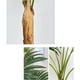 thumbnail image 3 of Plantas de simulación for decoración de interiores, salas de estar, suelos, macetas, plantas falsas, 3 of 6