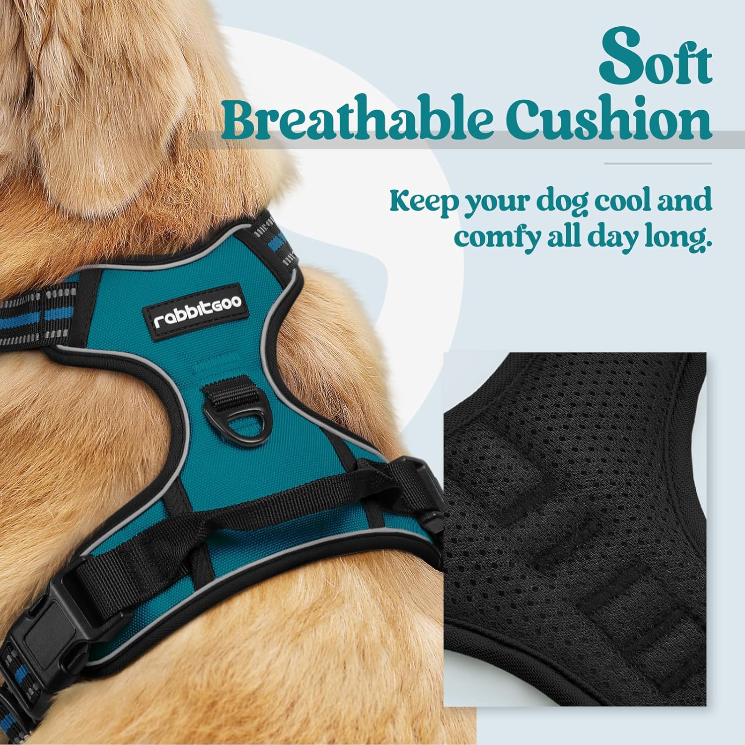 Rabbitgoo Small Dog Harness No Pull, Blue Coral photo 2