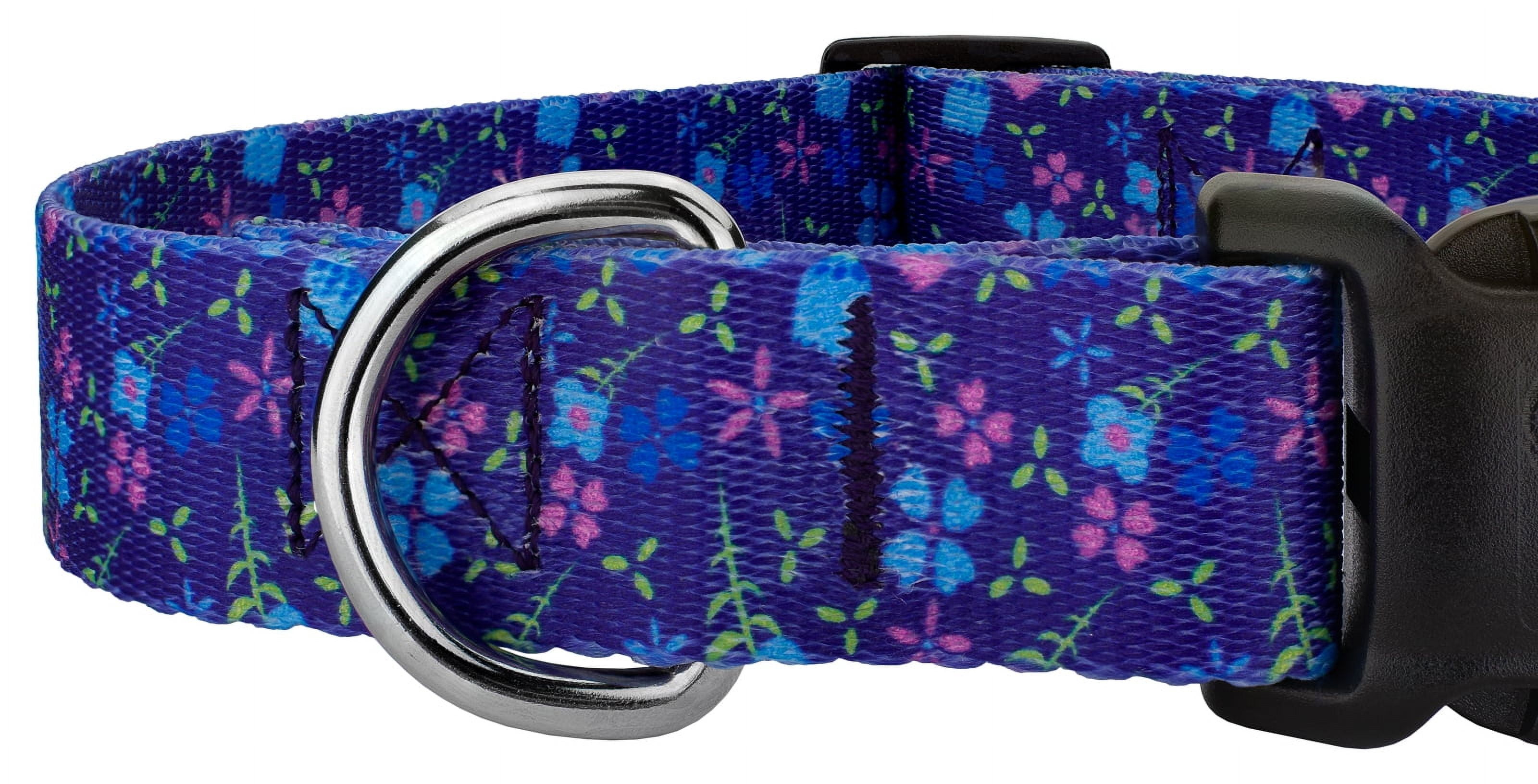 Country Brook Petz® Blueberry Fields Everyday Dog Collar and Leash, Large