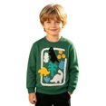 thumbnail image 3 of Kiijoy Toddler Boys Sweatshirt Dinosaur Embroidery Crewneck Pullover, Green, Sizes 2-3T, 3 of 3