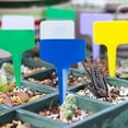 thumbnail image 3 of TomorrowSeeds - Blue T-Shaped Plant Labels - 10+ Count - For 2026 Planting Garden Row Marker Label, 3 of 8