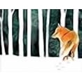 thumbnail image 3 of Outfoxed Fox Premium Blank Note Cards Thank You Cards - Boxed Set of 20 Cards and Matching Envelopes, 3 of 3