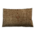 thumbnail image 1 of Ahgly Company Outdoor Rectangular Contemporary Lumbar Throw Pillow, 13 inch by 19 inch, 1 of 5