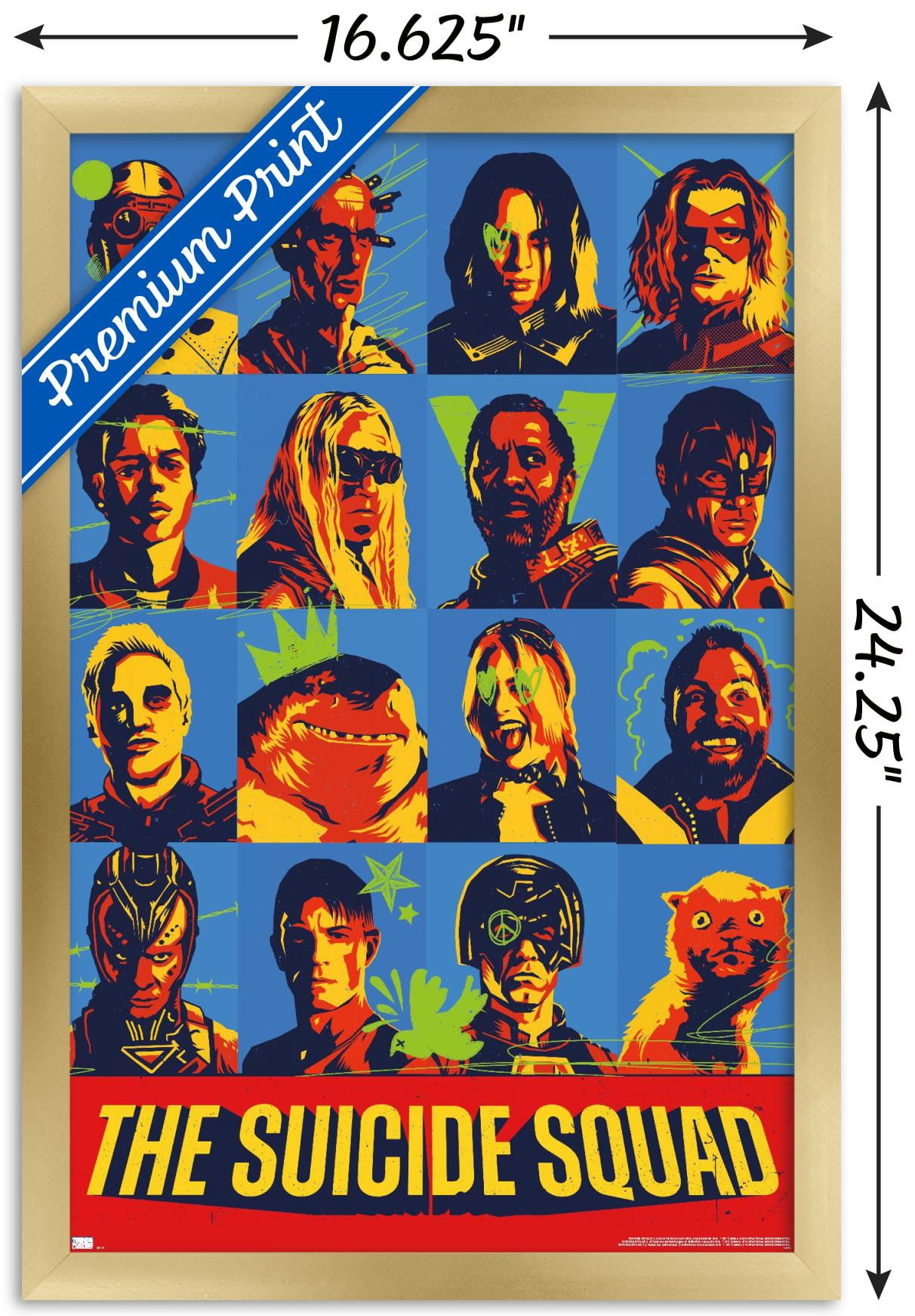 DC Comics Movie The Suicide Squad - Grid Wall Poster, 14.725" x 22.375", Framed