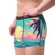 thumbnail image 2 of Fotbe Retro Palm Beach Sunset Calzoncillos Tipo Boxer con Bolsa de Soporte Total para Hombre, X-Temp Fresco, Transpirable y de Secado Rápido-Medium, 2 of 5