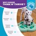 thumbnail image 6 of Outward Hound by Nina Ottosson Puppy Hide N' Slide Treat Puzzle Enrichment Dog Toy, Green, 6 of 8