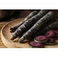 thumbnail image 4 of 500+ Exotic Black Nebula Carrot Seeds to Grow - Daucus carota - Colorful Edible Vegetables. Made in USA, 4 of 4