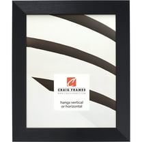 Craig Frames Modern Aesthetics 125, 4x6 inch Picture Frame, Black