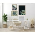 thumbnail image 5 of Kate and Laurel Sylvie Succulent 8, Succulent 1, and Succulent 5 Framed Canvas Wall Art Set by Emiko and Mark Franzen of F2Images, 3 Piece Set Natural, Modern Dramatic Botanical Wall Décor, 5 of 6
