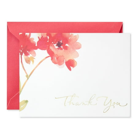 American Greetings Thank You Stationery, Red Daisy (10-Count)